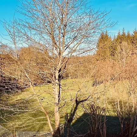 Cosy Francorchamps *